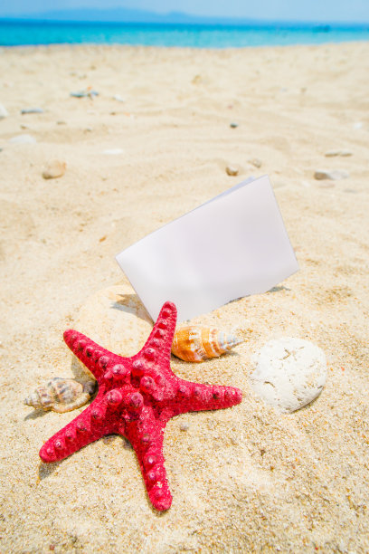 海星与白纸纸条图片下载