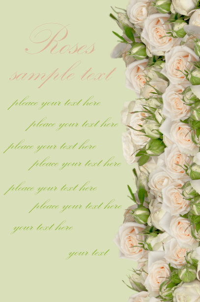 花的背景图片下载