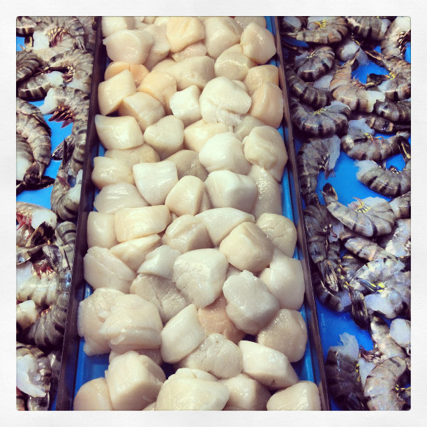 黑虎虾和海湾扇贝近距离图片下载