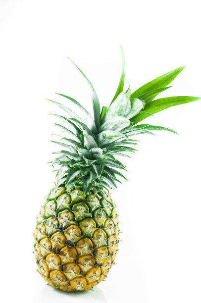 菠萝图片下载