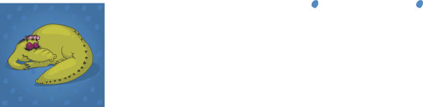 睡觉的鳄鱼图片下载