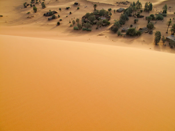 Erg Chebbi沙漠中的绿洲图片下载