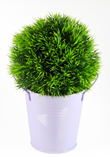 装饰花图片下载