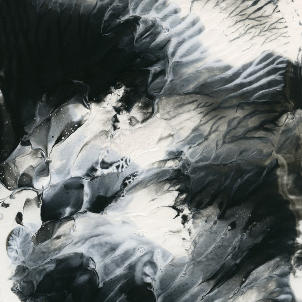 抽象黑白背景模板。图片下载