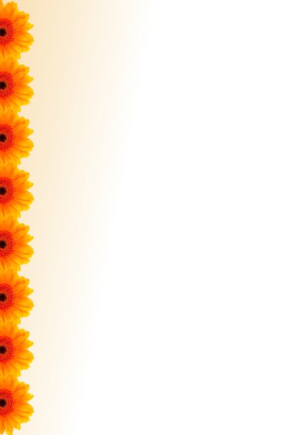 美丽的橙色非洲菊与颜色梯度图片下载