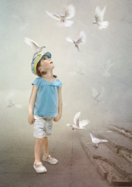 白色的鸽子图片下载