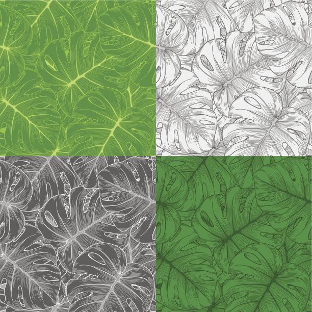 设置棕榈叶怪兽的无缝背景图片下载