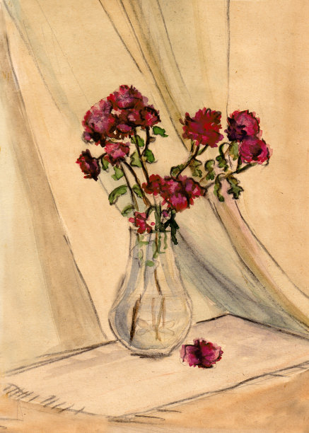 克拉特菊花图片下载