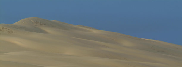 "这是什么?sert图片下载