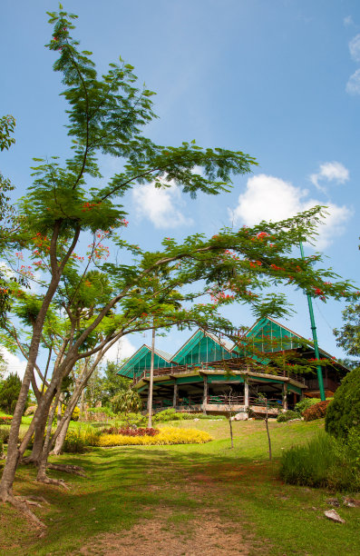 有漂亮花园的房子图片下载