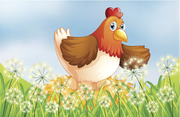 母鸡产卵图片下载