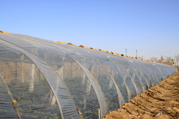蔬菜温室图片下载