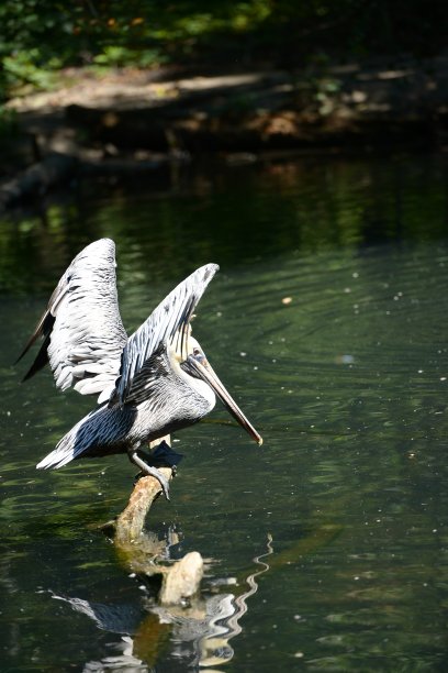 等待早餐图片下载