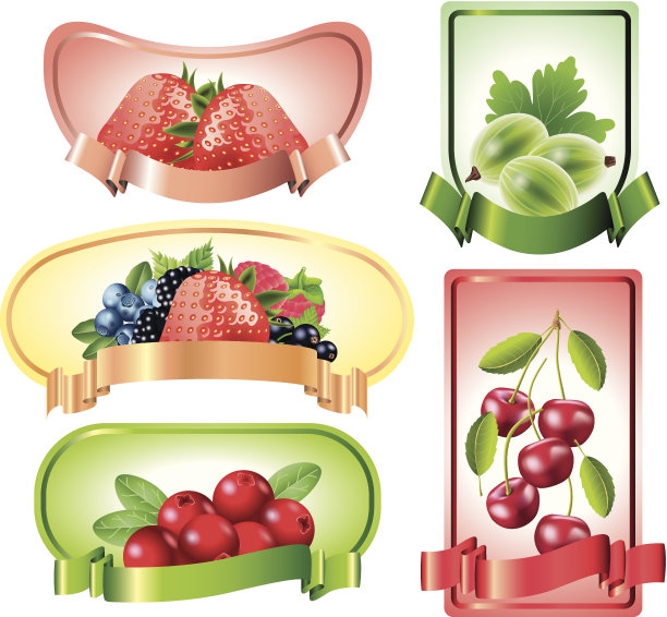 浆果标签向量集图片下载