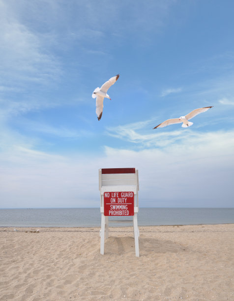 海滩没有救生员，海鸥在飞翔图片下载