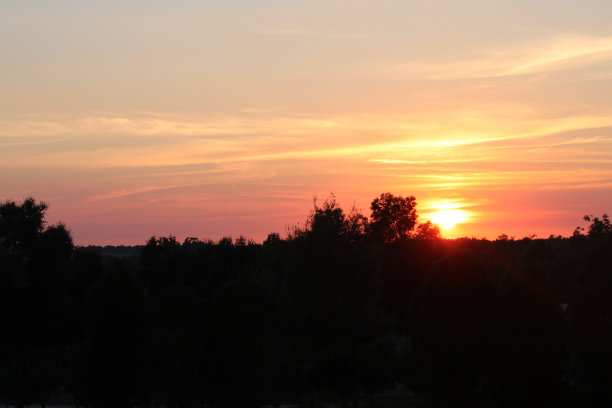 树林里的夕阳图片下载
