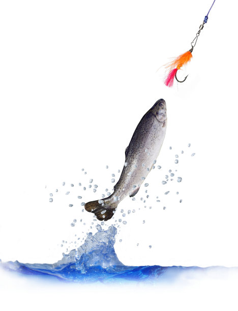 从水中跳出来的鳟鱼图片下载