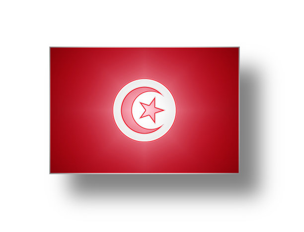 突尼斯国旗(风格I)。图片下载