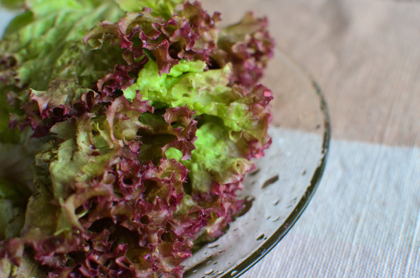 红色的橡树叶生菜图片下载