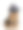 约克夏图片下载