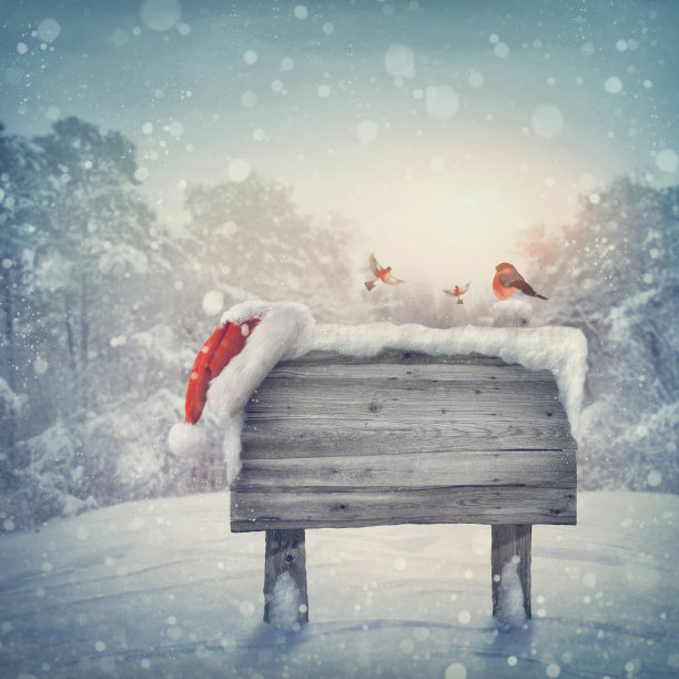 冬季森林中的木制标志图片下载