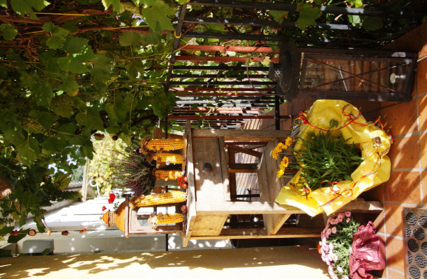 秋天的装饰图片下载