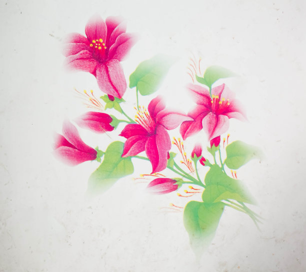 孤立的花图片下载