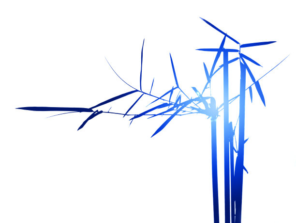 白色背景上五颜六色的树枝。图片下载