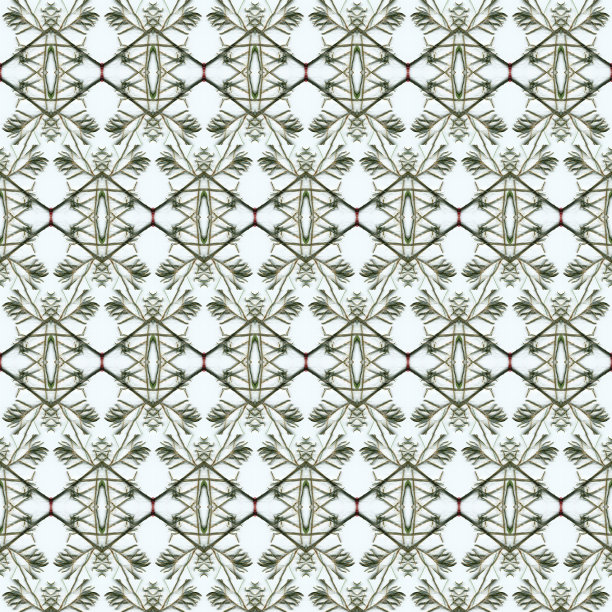 复古破旧的背景与优雅的图案图片下载