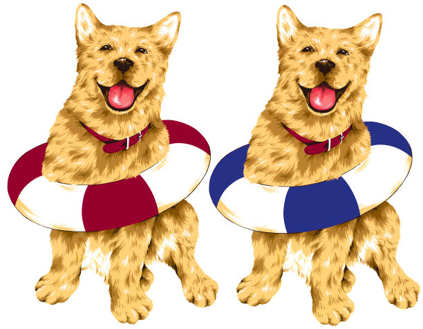 可爱的狗图片下载