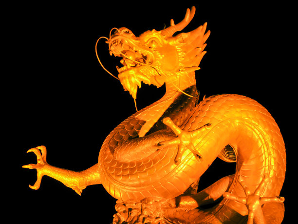 大海中的海龙。图片下载