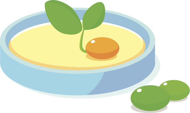 图标发芽图片下载