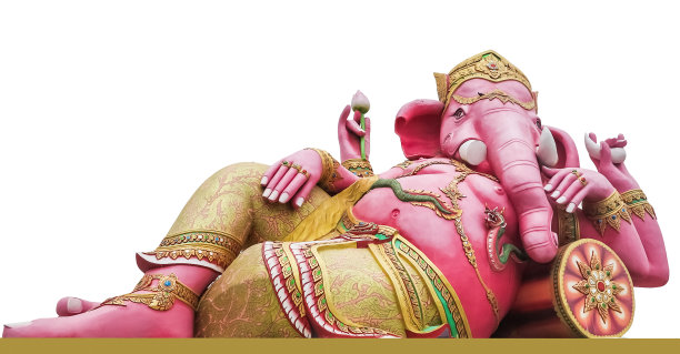 粉红甘内查图片下载