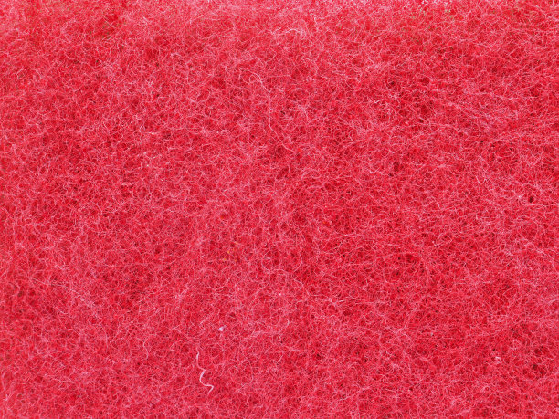 海绵的背景图片下载