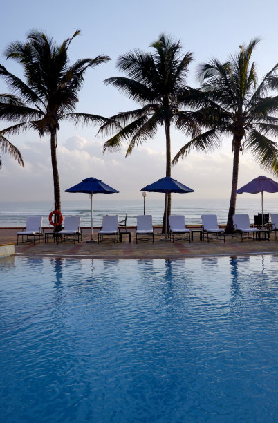 池边的棕榈树图片下载