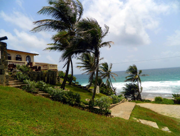 在夏威夷海滩图片下载