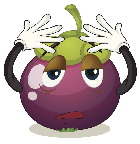 山竹果图片下载