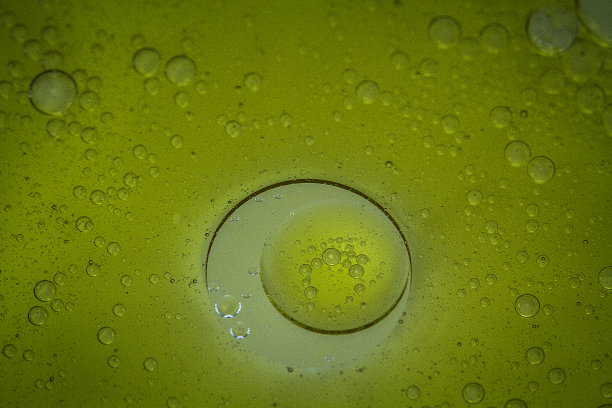 llnl形式?运动中的危险图片下载