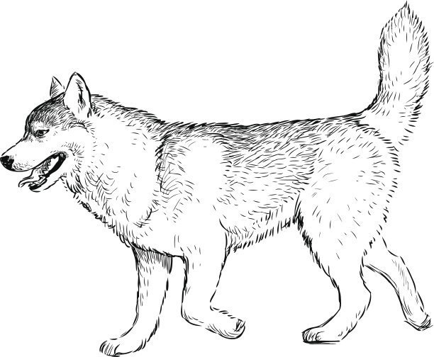 大步沙哑的图片下载