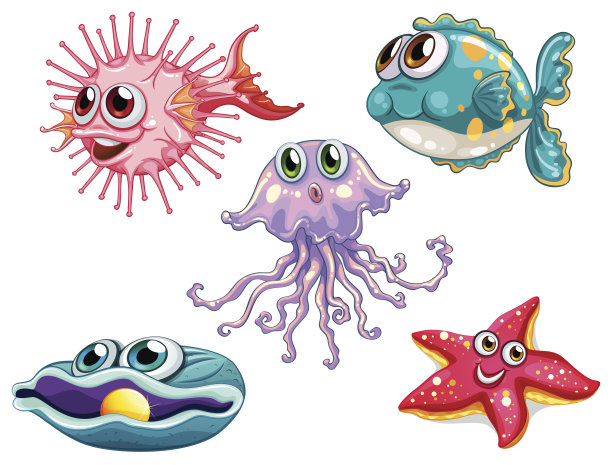 五个海洋生物图片下载