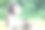 草坪上一位年轻的亚洲女性的简介图片下载
