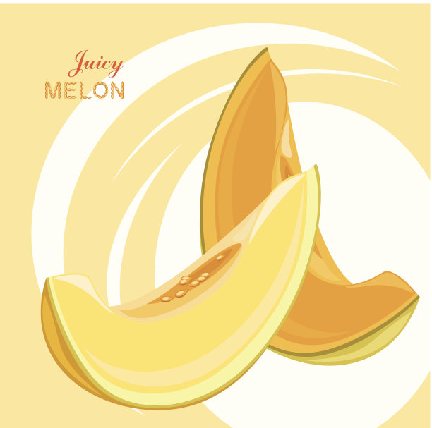 多汁的西瓜和西瓜。图标设计图片下载