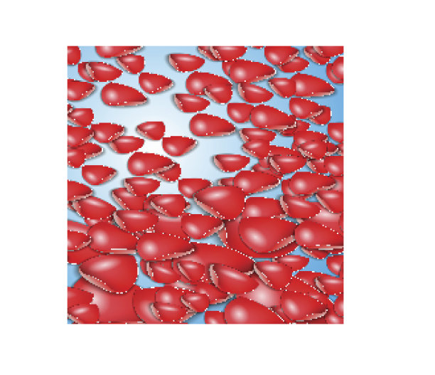 红色的花瓣图片下载