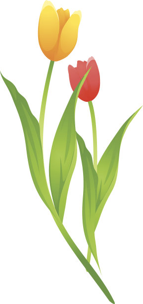 矢量图标郁金香图片下载