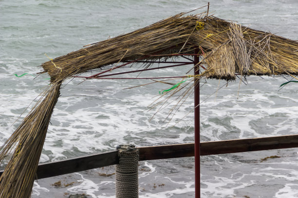 沿海咖啡馆秋天图片下载