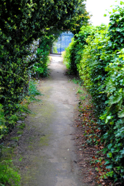 进入浅绿色隧道2图片下载