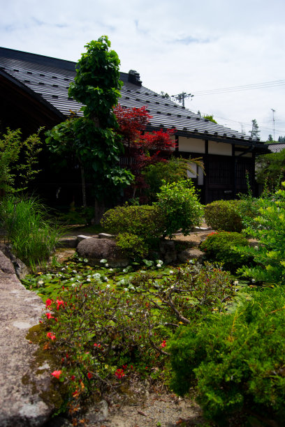 在高山图片下载