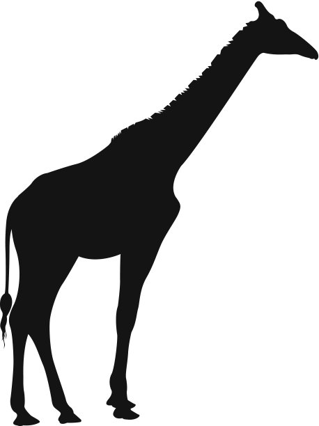 长颈鹿图片下载
