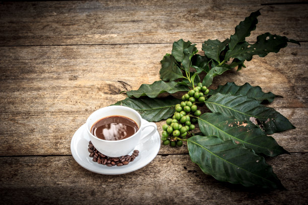 木背景上的咖啡杯和豆枝图片下载