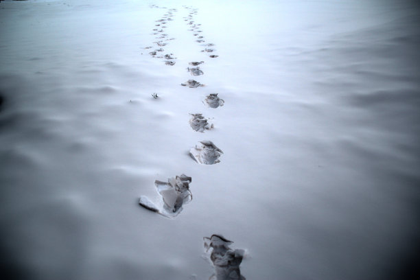 雪地里的脚印图片下载
